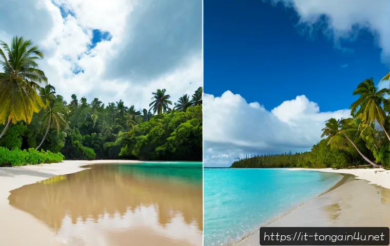 통가 우기 건기 비교 - Photorealistic split-scene view of a peaceful Tonga tropical shoreline, left side during wet season ...